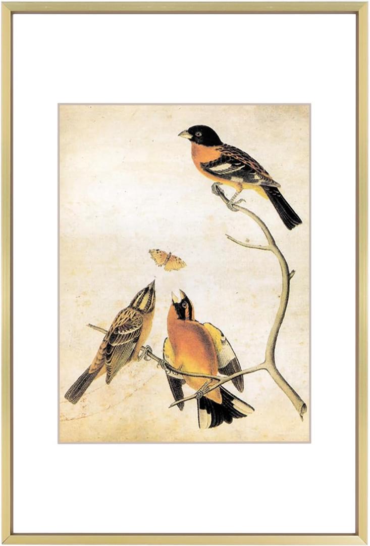 8x12 Picture Frame, Brass Metal Photo Frames with HD Glass, Fits 6x8 with Mat or 8 x 12 without Mat, Display for Wall and Table, 1 Pack