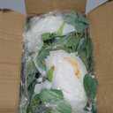 Dolicer 2Pcs 13Ft Artificial Eucalyptus Garlands with Flowers, Faux Floral Greenery Garlands with 13Ft String Lights Fake Flowers Vines for Wedding Centerpieces Arch Party Decor (White)