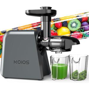 Cold Press Masticating Juicer Machine - 2-Speed & Reverse Function for Vegetables, Fruits, Celery | Quiet Motor, BPA-Free, Easy to Clean with Brush | Slow Juicer for Nutrient-Rich Juices (Grey)