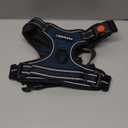 rabbitgoo Dog Harness for Large, No Pull Pet Harness with 3 Buckles, Adjustable Soft Padded Vest with Control Handle, Walking Reflective Pet Vest for Large Dogs, Blue Coral, L