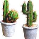 Artificial Succulent Plants,Fake Cactus Decorative Plants - Artificial Cacti with Gray Pots Planters,Artificial Faux Cactus for Home Dcor House Office Ornaments