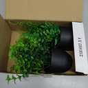 Der Rose Fake Plants 2 Packs Artificial Plants Small Faux Plants Black Bathroom Accessories for Halloween Bathroom Home Kitchen Coffee Table Office Desk Decor Indoor (Green)