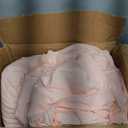 CozyLux Full Size Comforter Set Blush Pink, 7 Pieces Bed in a Bag Full Comforter Set with Sheets, Bedding Set with Down Alternative Comforter, Fitted Sheets, Flat Sheets, Pillow Shams and Pillowcases