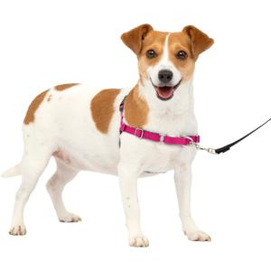PetSafe Easy Walk No-Pull Dog Harness - The Ultimate Harness to Help Stop Pulling - Take Control & Teach Better Leash Manners - Helps Prevent Pets Pulling on Walks, Small, Raspberry/Gray
