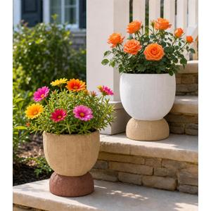 2 x DREAMLOOM 6.4Inch Coarse-Grained Terracotta Pots for Succulents, 2Pcs Flower Planters with Drainage Holes, Bonsai, Cactus Aloe, Herbs, Orchid, Rustic Color
