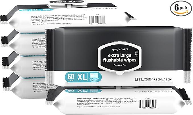 Basics Extra Large Flushable Wipes, Fragrance Free, pH Balanced, with Vitamin E & Aloe, Hypoallergenic, 360 Wipes, 6 Packs of 60, Resealable Closure