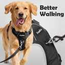 Funfox Dog Harness Medium Sized Dog, Vertical Handle Easy Control, No Pull Pet Vest Adjustable with 2 Leash Clips, Soft Material, Reflective Safe Night Walking, Black, M