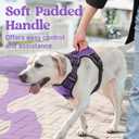rabbitgoo Dog Harness, No Pull Pet Harness with Soft Padded Handle, Adjustable Reflective Vest with 3 Buckles, Easy Walking Harness with 2 Leash Clips, Purple, XL