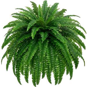 GYERB 48" Large Artificial Boston Fern Plants for Outdoor Indoor, Fake Ferns for Front Porch Hanging, Faux Greenery Bushes for Home Garden Office Decor, Silk Fern with Realistic Fronds, 88 Branches