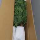 Christmas Decorations - 7.5 Ft Pre-Lit Twinkle Christmas Cypress Tree - Artificial Christmas Trees with 350 LED Lights - Xmas Holiday Decor for Indoor Home Party Living Room Office Decoration