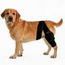 Dog Knee Brace for Leg, Adjustable Dog Braces for Torn ACL Support, Built in Side Stabilizers, Breathable Dogs Hip Brace for Arthritis Relief, Joint Stability and Post Surgery Recovery (M)