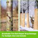 UNFAMILY 100FTx4IN Paper Tree Wraps to Protect Bark, Tree Protector Wrap Roll, Tree Wrap for Damaged Bark, Tree Trunk Wrap Protector, Winter Tree Trunk Bandage Frost Protection (100ft paper tree wrap)