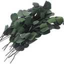 LIFKICH Real Eucalyptus Leaves Decor Faux Greenery Eucalyptus Stems Dried Leaves for Home Flower Arrangement