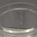 Aquach Double Wall Glass Cup 16oz 2pcs, Clear Insulated Coffee Drinking Glasses, Single Mouth/Double Body