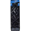 Tony Hawk Skateboard For Beginner And Professional Skaters