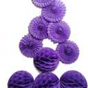 Wall Decoration Hanging Paper Fans Honeycomb Balls 10 Pieces 8" Tissue Paper Pom Poms Flower Balls for Birthday Wedding Party Baby Shower (10 Pieces 8", Purple Mix Set)