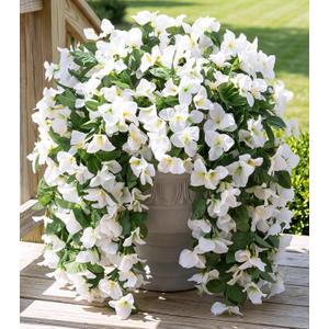 Faux Bougainvillea Artificial Flowers for Outdoors Fake Plants Outside Decoration, 2 PCS White Faux Flowers UV Resistant Look Real Silk Long Trailing Vines for Front Door Porch Planter Patio Garden