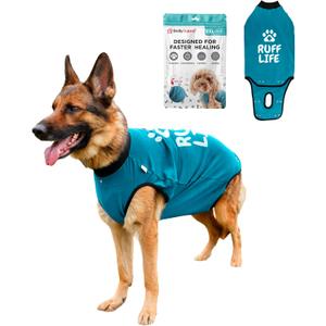 BellyGuard Recovery Suit for Dogs, Comfy Dog Surgery Suit, Female Spay and Male Neuter Onesie for Post-Op Care (XX-Large, Blue)
