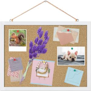 FEBSNOW Cork Board Bulletin Board 15.7 x 12 Inches with Rectangle White Frame Hanging Pin for Office Home Message Board or Vision Board Decoration