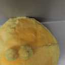 VYsTN Interactive Dog Toys, Rechargeable Vibrating, Jumping,Talking & selfMoving Dog Toys, Puppy Toys to Keep Them Busy, Anxiety Relief & Boredom Buster for Small & Medium Dogs