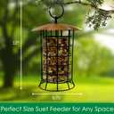 Songbird Essentials Copper Roof Suet Log Feeder