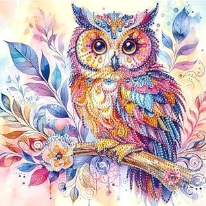 MVVMTOP Diamond Art Painting Kit, DIY Colored owl 5D Special Shape Crystal Diamond Partial Diamond Art Painting Mosaic Making Craft, Suitable for Home Wall Decor Art Gift