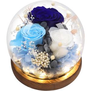 Preserved Flowers,Rose in Glass Dome with LED Light, Gifts for Her, Women, Mom,Grandma,Girlfriend, Wife - Style5 (Blue & White (S5))