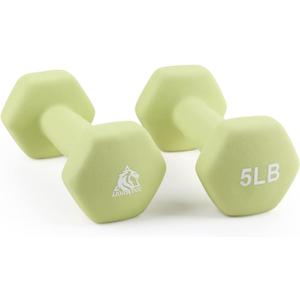 LIONSCOOL Set of 2 Neoprene Coated Dumbbell Hand Weights, Anti-Slip and Anti-Roll Hex Dumbbells in Pair for Strength Training, Resistance Training