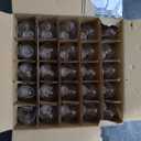 25 Pack LED Night Light Bulbs, C7 Candelabra LED Light Bulbs, E12 Chandelier Base, 0.6W Equivalent to 7W, Warm White 2200K, 50LM, Shatterproof & Waterproof Clear ‎Plastic