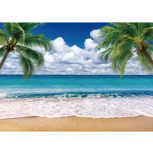 Hawaii Tropical Beach Ocean Backdrop Banner Seaside Palm Trees Photography Background Summer Luau Theme Party Decorations Baby Shower Photo Props (47.24x31.5 in)