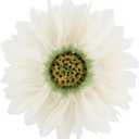 JWH 3D Flower Throw Pillow Decorative Daisy Pillow Case Round Cushion Cover Colorful Floral Pillowcase for Bed Sofa Couch Living Room 12 Inch Creamy White Green Yellow