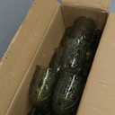 24 Pcs Plastic Goblets 7.5oz Vintage Goblet Plastic Wine Glasses Colored Retro Embossed Water Goblets for Wine Bar Juice Baby Shower Wedding Reception Grand Event Party (Olive Green)