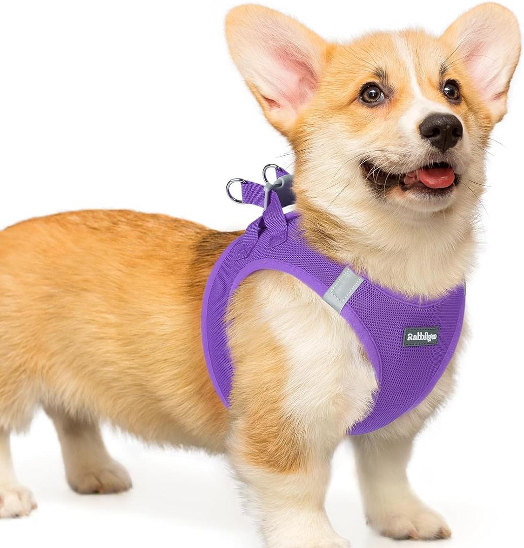 rabbitgoo Small Dog Harness, Step-in Soft Mesh Puppy Vest with Safety Buckle, Breathable Reflective Pet Harness for Dogs, Purple, Large