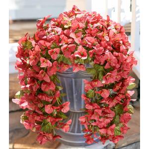 HyeFlora Bougainvillea Artificial Hanging Flowers Plants for Outdoors Winter Decoration, 2pcs Faux Bougainvillea Vines Red Fake Flowers Realistic UV Resistant Silk Flowers for Outside Planter Yard Urn