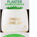 Wellness Grow Kit: Lemon Balm