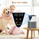 Air Purifiers for Home Large Room up to 1750 Sq Ft, H13 True HEPA Filter Air Purifiers for Bedroom Smoke/Pet Dander/Pollen, 25dB Quiet for Home,Bedroom,Office (Ivory White & Haze Gray)