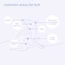 Mal-A-Ket Shampoo for Dogs and Cats, 8 oz