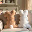 Amyhill 2 Pcs Easter Pillows Bunny Rabbit Shaped Throw Pillows 15.75 Inch Decorative Easter Spring Soft Plush Cushion Gifts for Sofa Couch Bedroom Living Room Home Decorations(Fashion Style)