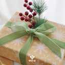 MEEDEE Sage Green Velvet Ribbon 1 Inch Single Face Nylon Velvet Ribbon 2 Rolls 20 Yards Light Green Ribbons for Christmas Tree, Gift Wrappig, Rustic Wreath, Velvet Bow Making, Home Decor