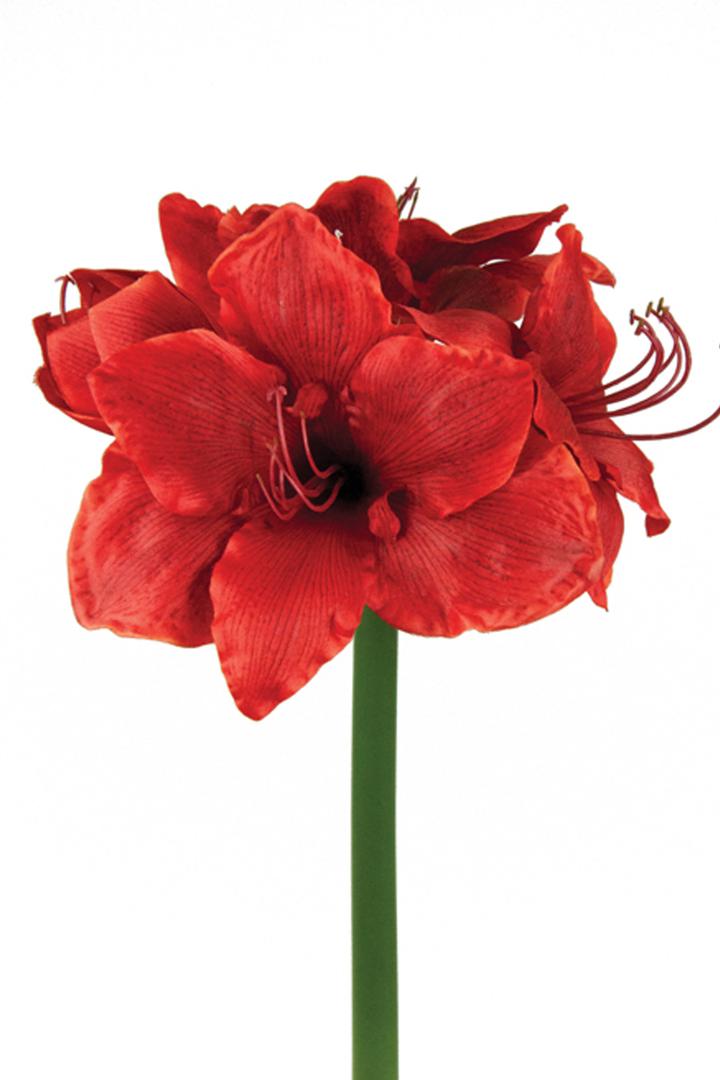 Red Amaryllis Artificial Flower Arrangement 11.8" Faux Silk Amaryllis in Glass Vase with Faux Water Pebbles Fake Floral Centerpiece for Home Office Room Table Shelf Rustic Décor