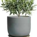 Ceramic Planter for Indoor Outdoor Plants - Cylinder Decorative 8 Inch Plant Pot with Drainage Hole and Saucer, Modern Home Decor, Gray