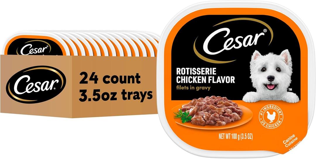 Cesar Filets in Gravy, Adult Wet Dog Food, Rotisserie Chicken Flavor, Wet Food for Dogs, 3.5 oz Trays, 24 Count