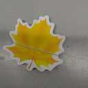 Fall Stick Notes, 6 Packs