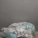 Cottolester Boho Comforter Set Queen Size,8 Piece Bed in a Bag Sage Green Paisley Comforter and Sheet Set,Striped Bedding Set Soft Microfiber Complete Bedding Set