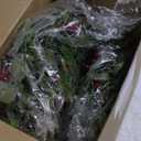 Lyrow 8 Pcs Christmas Candle Rings Wreath Xmas Kitchen Cabinet Mini Wreath Artificial Berries Snowy Pine Candle Ring Holder for Christmas Chandelier Home Table Centerpiece Indoor Decor