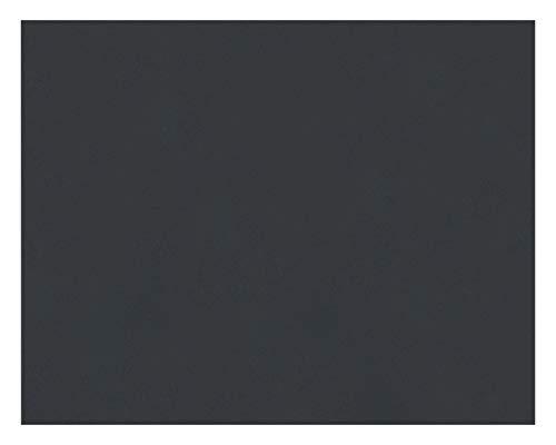 Pacon 4-Ply Railroad Board, 22" x 28", Black 100 Count