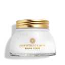 L'Occitane Immortelle Shea Body Balm 6.90 oz