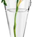 Clear Circular Cone Glass Wall Hanging Vase Flower Vase Bottle for Plant Holder Flower Creative Decor Cone Type Vase Succulent Planter Arrangement for Bedroom Kitchen Living Room Office