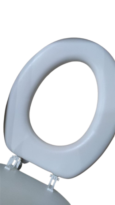 Toilet Seat
