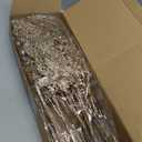 Yunlly 24 Pcs Champagne Christmas Tree Picks and Sprays Glitter Berry Stem Branches Artificial Christmas Picks Twigs Xmas Tree Ornaments for DIY Xmas Wreath Vase Filler Decorations